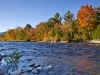 monkman_nhwms_d33455 monkman_nhwms_d33455