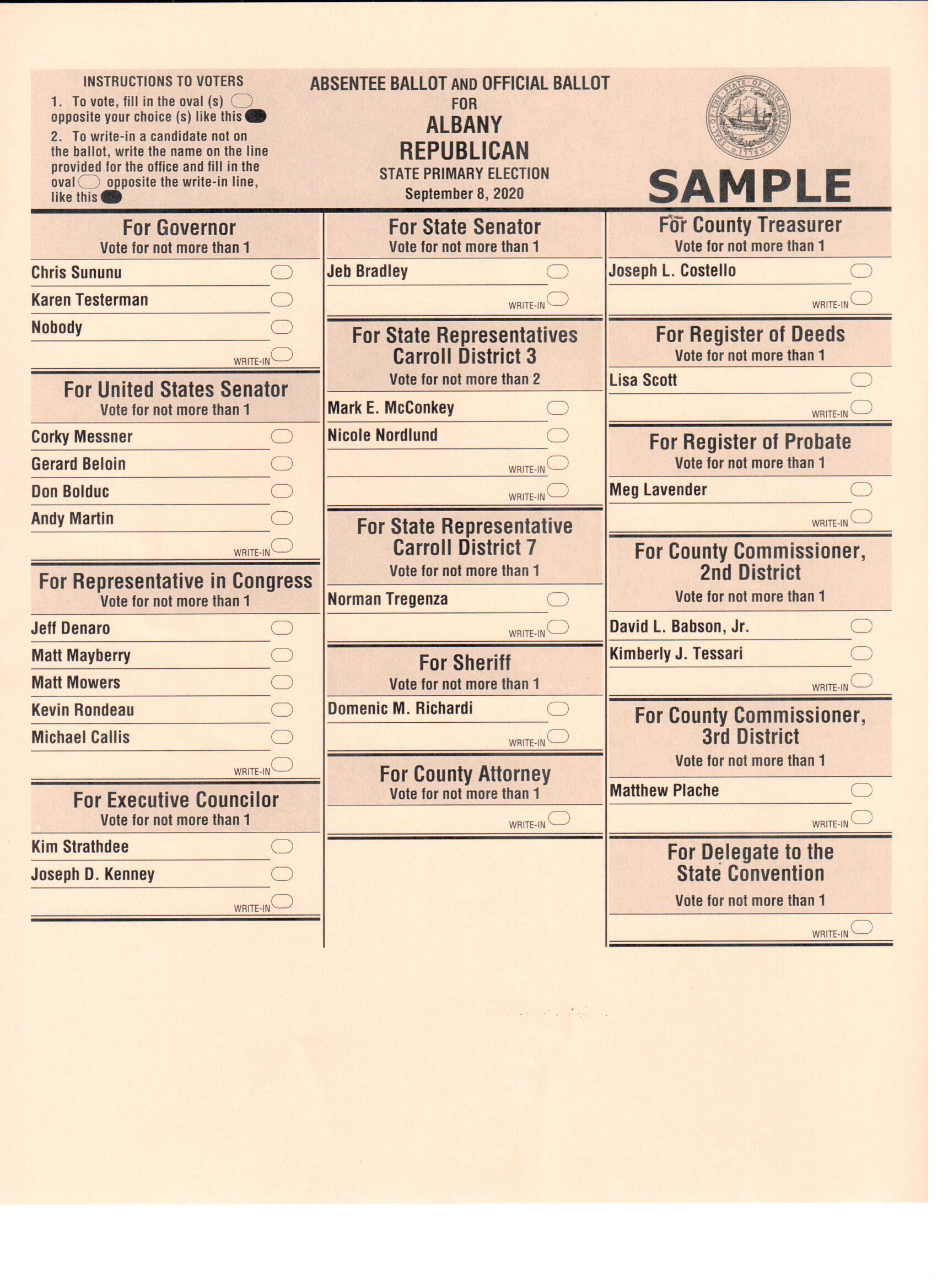 Election Information Town of Albany New Hampshire